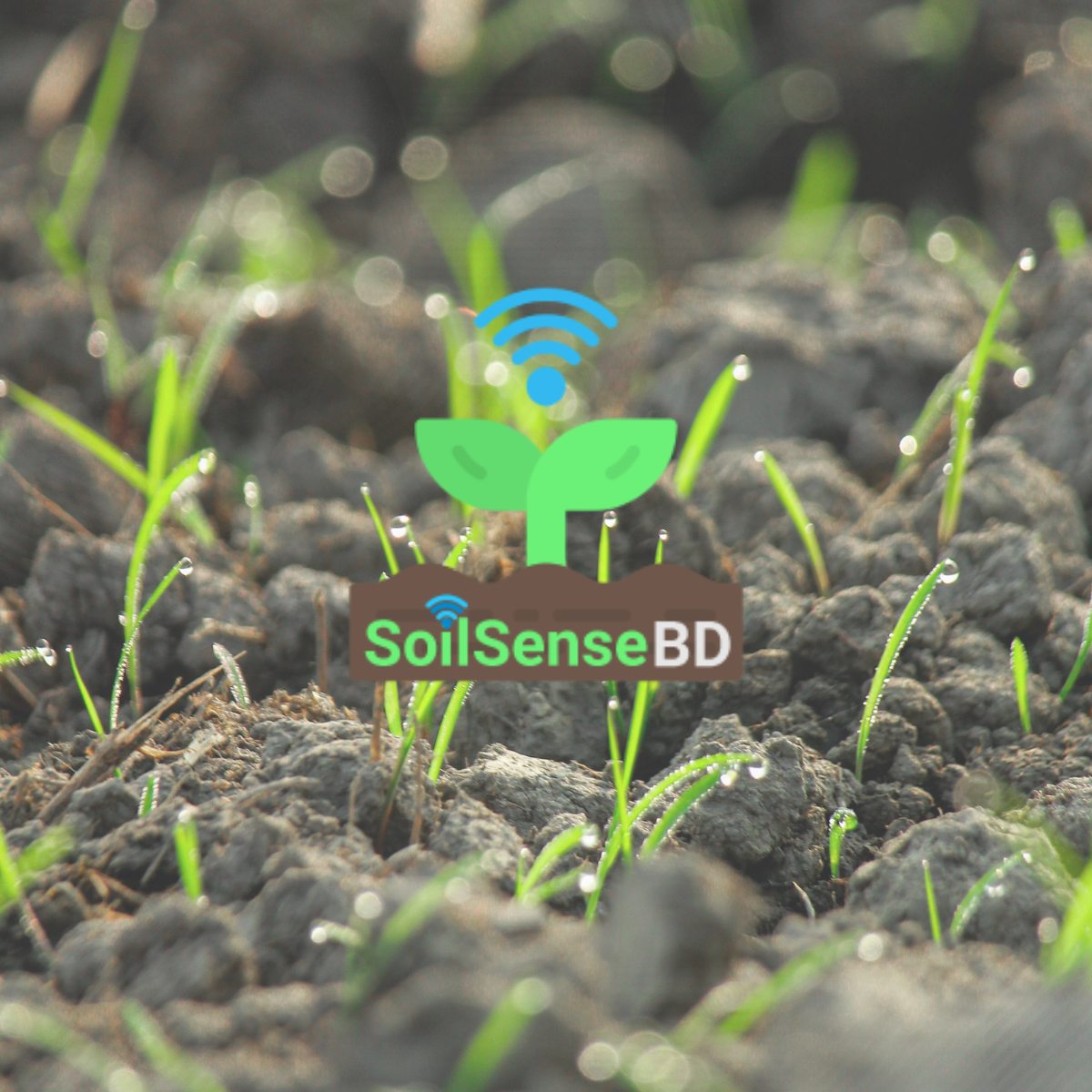 SoilSenseBD
